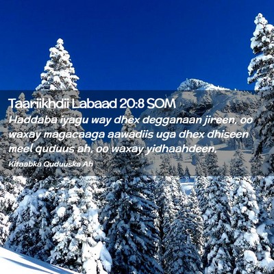 Picture 02 - Taariikhdii Labaad 20:8 SOM - Haddaba iyagu way dhex degganaan jireen, oo waxay - Bible Verse Picture