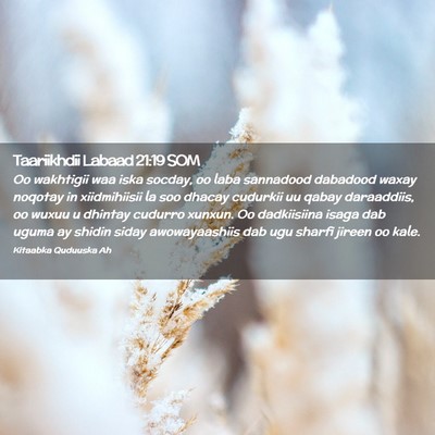 Picture 02 - Taariikhdii Labaad 21:19 SOM - Oo wakhtigii waa iska socday, oo laba sannadood - Bible Verse Picture