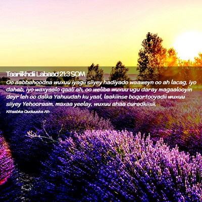 Picture 02 - Taariikhdii Labaad 21:3 SOM - Oo aabbahoodna wuxuu iyagii siiyey hadiyado - Bible Verse Picture