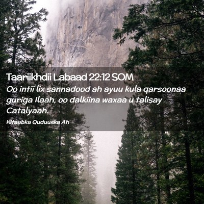 Picture 02 - Taariikhdii Labaad 22:12 SOM - Oo intii lix sannadood ah ayuu kula qarsoonaa - Bible Verse Picture