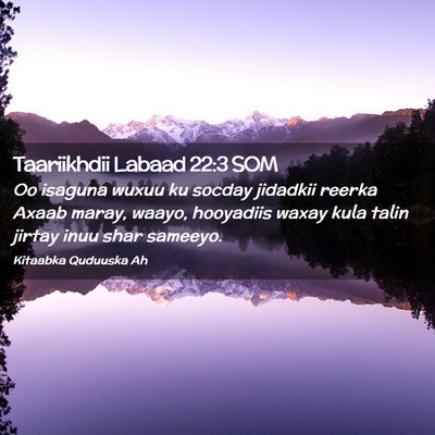 Picture 02 - Taariikhdii Labaad 22:3 SOM - Oo isaguna wuxuu ku socday jidadkii reerka Axaab - Bible Verse Picture