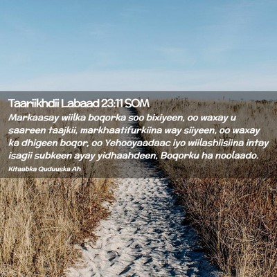 Picture 02 - Taariikhdii Labaad 23:11 SOM - Markaasay wiilka boqorka soo bixiyeen, oo waxay u - Bible Verse Picture