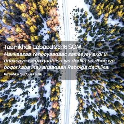 Picture 02 - Taariikhdii Labaad 23:16 SOM - Markaasaa Yehooyaadaac sameeyey axdi u dhexeeya - Bible Verse Picture