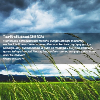 Picture 02 - Taariikhdii Labaad 23:18 SOM - Markaasaa Yehooyaadaac hawshii guriga Rabbiga u - Bible Verse Picture