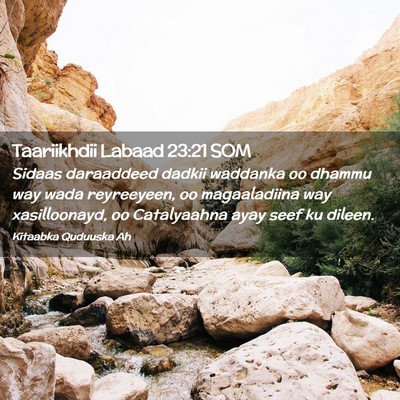 Picture 02 - Taariikhdii Labaad 23:21 SOM - Sidaas daraaddeed dadkii waddanka oo dhammu way - Bible Verse Picture