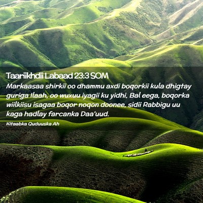Picture 02 - Taariikhdii Labaad 23:3 SOM - Markaasaa shirkii oo dhammu axdi boqorkii kula - Bible Verse Picture