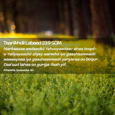 Picture 02 - Taariikhdii Labaad 23:9 SOM - Markaasaa wadaadkii Yehooyaadaac ahaa - Bible Verse Picture