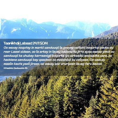 Picture 02 - Taariikhdii Labaad 24:11 SOM - Oo waxay noqotay in markii sanduuqii la geeyey - Bible Verse Picture