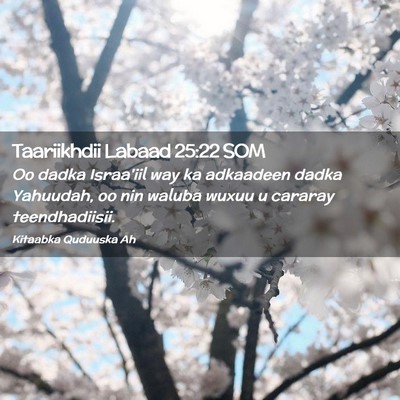 Picture 02 - Taariikhdii Labaad 25:22 SOM - Oo dadka Israa'iil way ka adkaadeen dadka - Bible Verse Picture