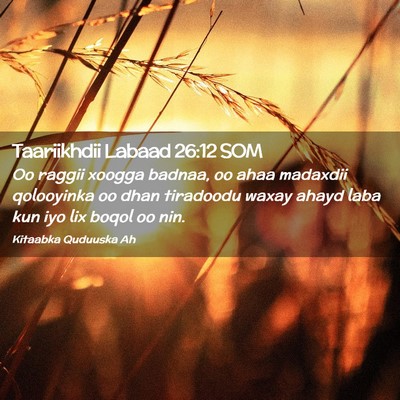 Picture 02 - Taariikhdii Labaad 26:12 SOM - Oo raggii xoogga badnaa, oo ahaa madaxdii - Bible Verse Picture
