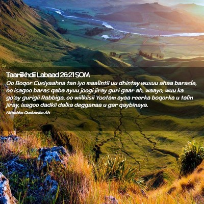 Picture 02 - Taariikhdii Labaad 26:21 SOM - Oo Boqor Cusiyaahna tan iyo maalintii uu dhintay - Bible Verse Picture