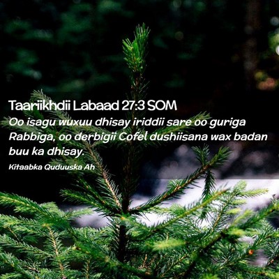 Picture 02 - Taariikhdii Labaad 27:3 SOM - Oo isagu wuxuu dhisay iriddii sare oo guriga - Bible Verse Picture