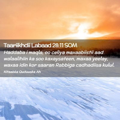 Picture 02 - Taariikhdii Labaad 28:11 SOM - Haddaba i maqla, oo celiya maxaabiistii aad - Bible Verse Picture