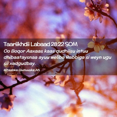 Picture 02 - Taariikhdii Labaad 28:22 SOM - Oo Boqor Aaxaas kaas qudhiisu intuu dhibaataysnaa - Bible Verse Picture
