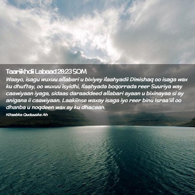 Picture 02 - Taariikhdii Labaad 28:23 SOM - Waayo, isagu wuxuu allabari u bixiyey ilaahyadii - Bible Verse Picture