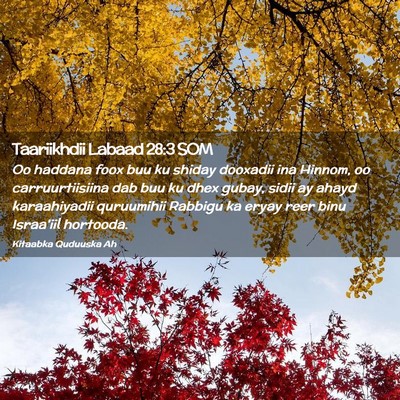 Picture 02 - Taariikhdii Labaad 28:3 SOM - Oo haddana foox buu ku shiday dooxadii ina - Bible Verse Picture