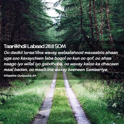 Picture 02 - Taariikhdii Labaad 28:8 SOM - Oo dadkii Israa'iilna waxay walaalahood maxaabiis - Bible Verse Picture