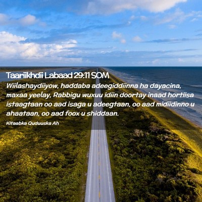 Picture 02 - Taariikhdii Labaad 29:11 SOM - Wiilashaydiiyow, haddaba adeegiddiinna ha - Bible Verse Picture