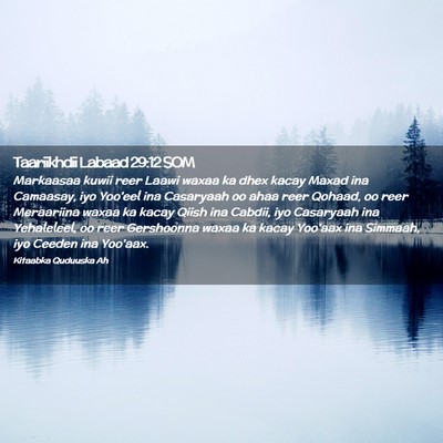 Picture 02 - Taariikhdii Labaad 29:12 SOM - Markaasaa kuwii reer Laawi waxaa ka dhex kacay - Bible Verse Picture