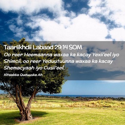 Picture 02 - Taariikhdii Labaad 29:14 SOM - Oo reer Heemaanna waxaa ka kacay Yexii'eel iyo - Bible Verse Picture