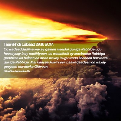 Picture 02 - Taariikhdii Labaad 29:16 SOM - Oo wadaaddadiina waxay galeen meeshii guriga - Bible Verse Picture