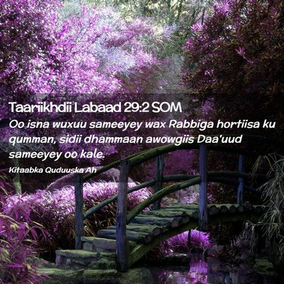 Picture 02 - Taariikhdii Labaad 29:2 SOM - Oo isna wuxuu sameeyey wax Rabbiga hortiisa ku - Bible Verse Picture
