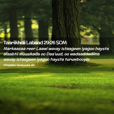 Picture 02 - Taariikhdii Labaad 29:26 SOM - Markaasaa reer Laawi waxay istaageen iyagoo - Bible Verse Picture