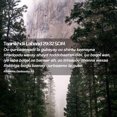 Picture 02 - Taariikhdii Labaad 29:32 SOM - Oo qurbaannadii la gubayay oo shirku keenayna - Bible Verse Picture