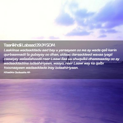 Picture 02 - Taariikhdii Labaad 29:34 SOM - Laakiinse wadaaddadu aad bay u yaraayeen oo ma ay - Bible Verse Picture