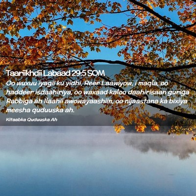 Picture 02 - Taariikhdii Labaad 29:5 SOM - Oo wuxuu iyagii ku yidhi, Reer Laawiyow, i maqla, - Bible Verse Picture