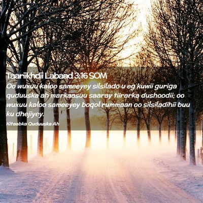 Picture 02 - Taariikhdii Labaad 3:16 SOM - Oo wuxuu kaloo sameeyey silsilado u eg kuwii - Bible Verse Picture