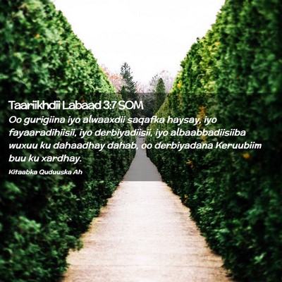 Picture 02 - Taariikhdii Labaad 3:7 SOM - Oo gurigiina iyo alwaaxdii saqafka haysay, iyo - Bible Verse Picture