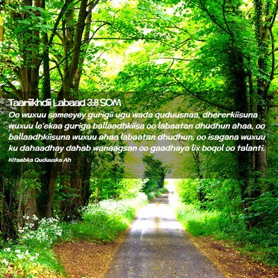 Picture 02 - Taariikhdii Labaad 3:8 SOM - Oo wuxuu sameeyey gurigii ugu wada quduusnaa, - Bible Verse Picture
