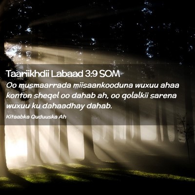 Picture 02 - Taariikhdii Labaad 3:9 SOM - Oo musmaarrada miisaankooduna wuxuu ahaa konton - Bible Verse Picture