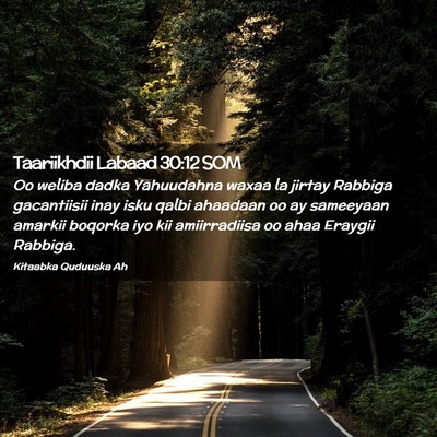 Picture 02 - Taariikhdii Labaad 30:12 SOM - Oo weliba dadka Yahuudahna waxaa la jirtay - Bible Verse Picture