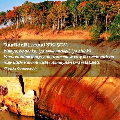 Picture 02 - Taariikhdii Labaad 30:2 SOM - Waayo, boqorka, iyo amiirradiisii, iyo shirkii - Bible Verse Picture