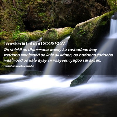 Picture 02 - Taariikhdii Labaad 30:23 SOM - Oo shirkii oo dhammuna waxay ku tashadeen inay - Bible Verse Picture