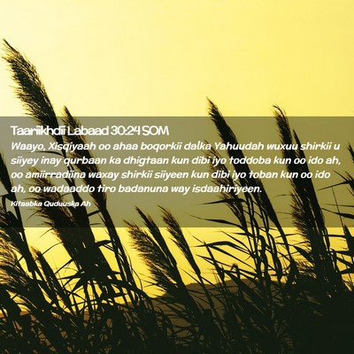 Picture 02 - Taariikhdii Labaad 30:24 SOM - Waayo, Xisqiyaah oo ahaa boqorkii dalka Yahuudah - Bible Verse Picture