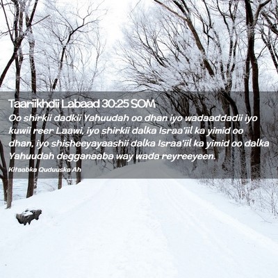 Picture 02 - Taariikhdii Labaad 30:25 SOM - Oo shirkii dadkii Yahuudah oo dhan iyo - Bible Verse Picture