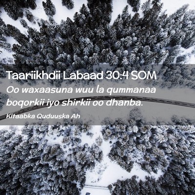Picture 02 - Taariikhdii Labaad 30:4 SOM - Oo waxaasuna wuu la qummanaa boqorkii iyo shirkii - Bible Verse Picture