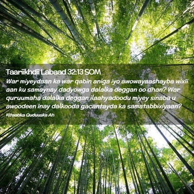 Picture 02 - Taariikhdii Labaad 32:13 SOM - War miyeydaan ka war qabin aniga iyo - Bible Verse Picture