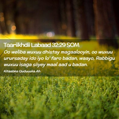 Picture 02 - Taariikhdii Labaad 32:29 SOM - Oo weliba wuxuu dhistay magaalooyin, oo wuxuu - Bible Verse Picture