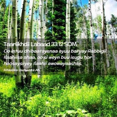 Picture 02 - Taariikhdii Labaad 33:12 SOM - Oo intuu dhibaataysnaa ayuu baryay Rabbigii - Bible Verse Picture