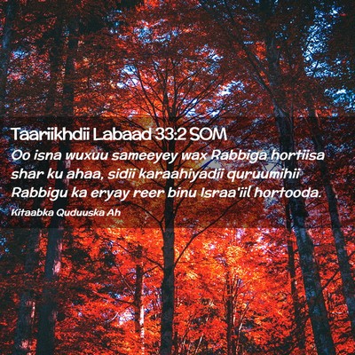 Picture 02 - Taariikhdii Labaad 33:2 SOM - Oo isna wuxuu sameeyey wax Rabbiga hortiisa shar - Bible Verse Picture