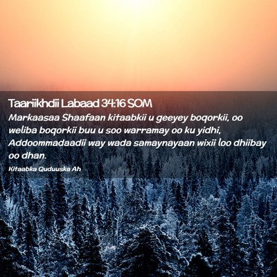 Picture 02 - Taariikhdii Labaad 34:16 SOM - Markaasaa Shaafaan kitaabkii u geeyey boqorkii, - Bible Verse Picture