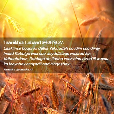 Picture 02 - Taariikhdii Labaad 34:26 SOM - Laakiinse boqorkii dalka Yahuudah oo idiin soo - Bible Verse Picture