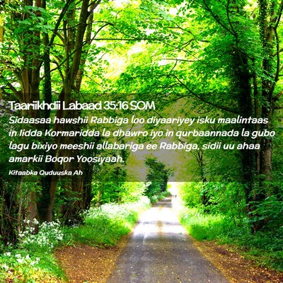 Picture 02 - Taariikhdii Labaad 35:16 SOM - Sidaasaa hawshii Rabbiga loo diyaariyey isku - Bible Verse Picture