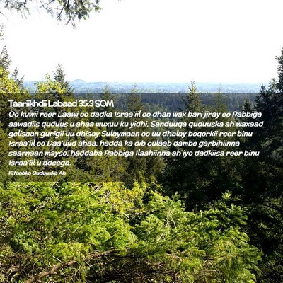 Picture 02 - Taariikhdii Labaad 35:3 SOM - Oo kuwii reer Laawi oo dadka Israa'iil oo dhan - Bible Verse Picture