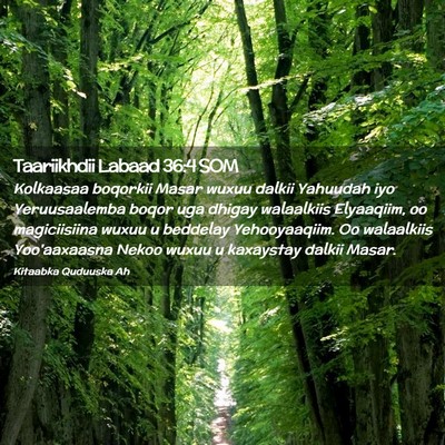 Picture 02 - Taariikhdii Labaad 36:4 SOM - Kolkaasaa boqorkii Masar wuxuu dalkii Yahuudah - Bible Verse Picture