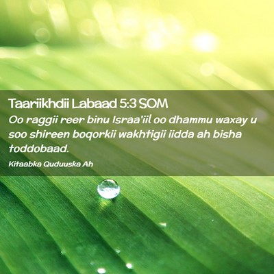 Picture 02 - Taariikhdii Labaad 5:3 SOM - Oo raggii reer binu Israa'iil oo dhammu waxay u - Bible Verse Picture